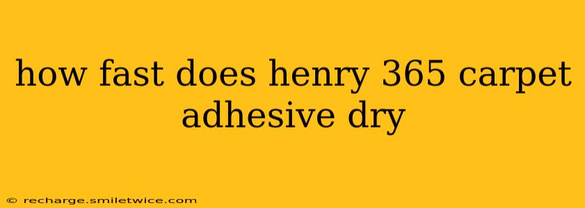 how fast does henry 365 carpet adhesive dry