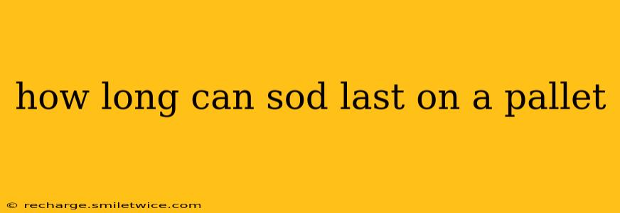 how long can sod last on a pallet