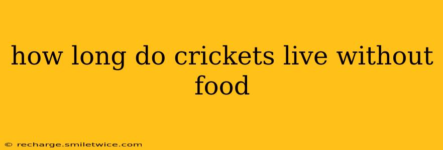how long do crickets live without food