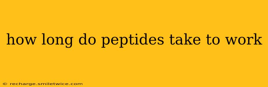 how long do peptides take to work