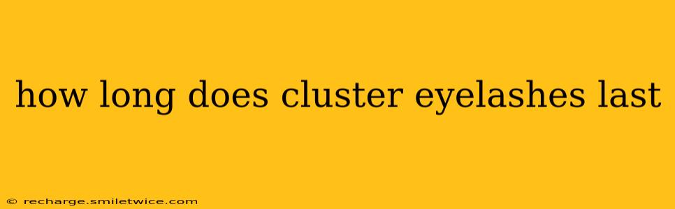 how long does cluster eyelashes last