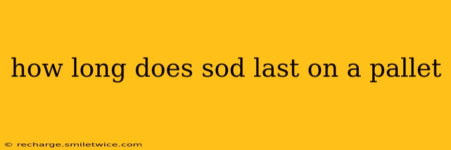 how long does sod last on a pallet