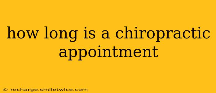how long is a chiropractic appointment