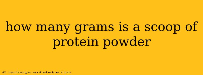 how many grams is a scoop of protein powder
