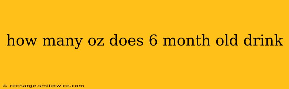 how many oz does 6 month old drink