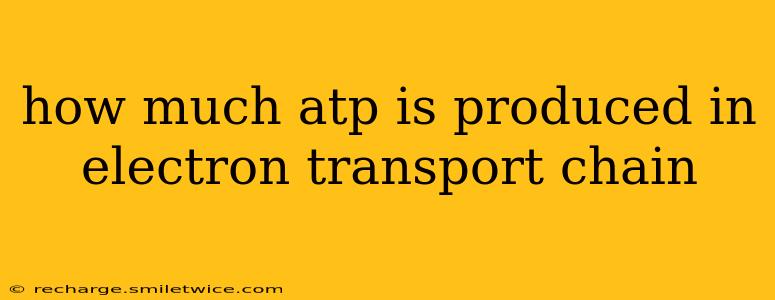 how much atp is produced in electron transport chain