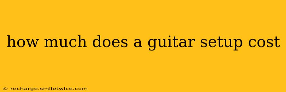 how much does a guitar setup cost