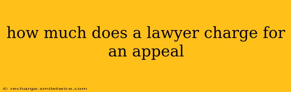 how much does a lawyer charge for an appeal