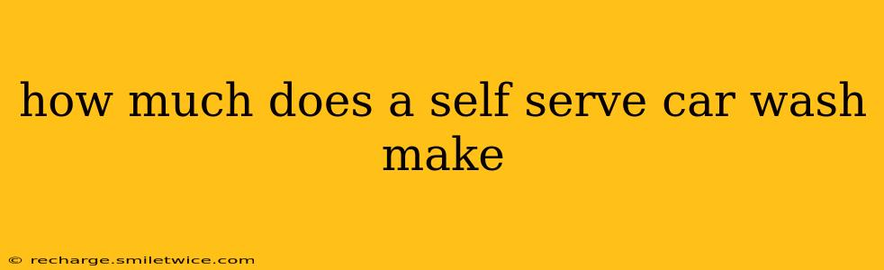 how much does a self serve car wash make