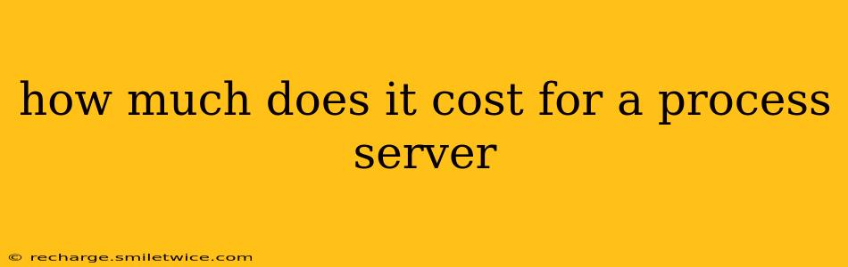 how much does it cost for a process server
