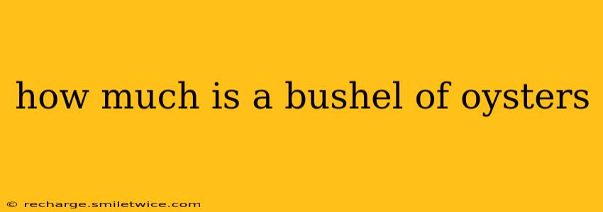how much is a bushel of oysters
