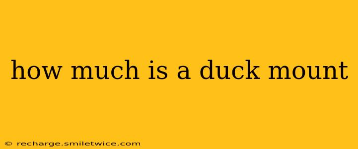 how much is a duck mount
