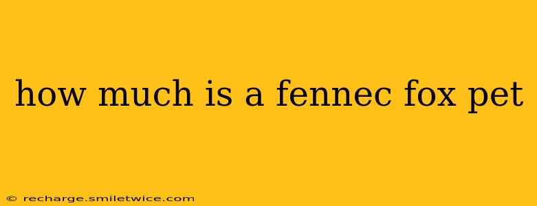 how much is a fennec fox pet