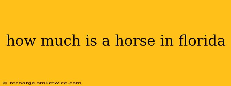 how much is a horse in florida