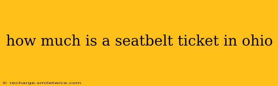 how much is a seatbelt ticket in ohio