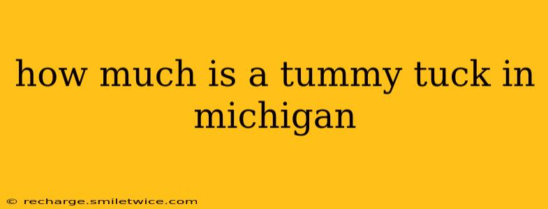 how much is a tummy tuck in michigan