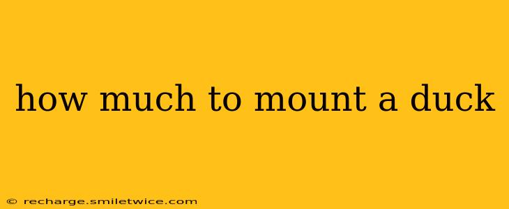 how much to mount a duck