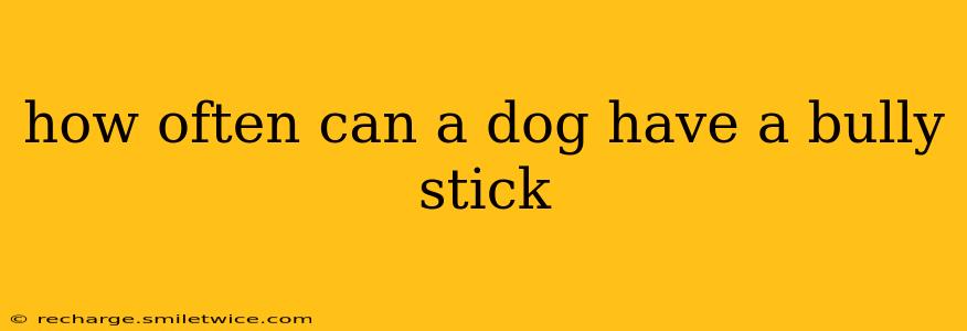 how often can a dog have a bully stick