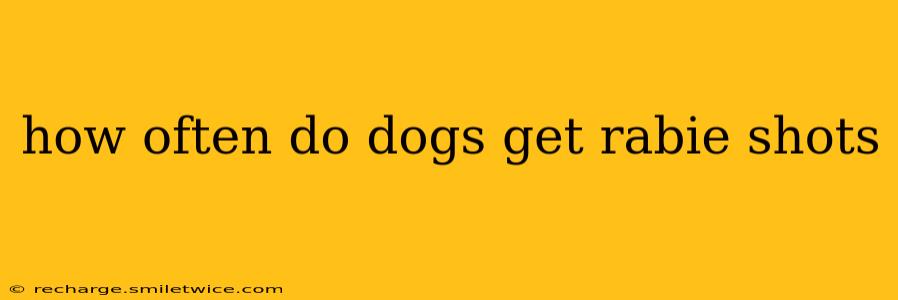 how often do dogs get rabie shots
