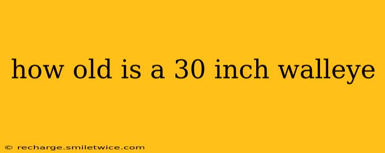 how old is a 30 inch walleye