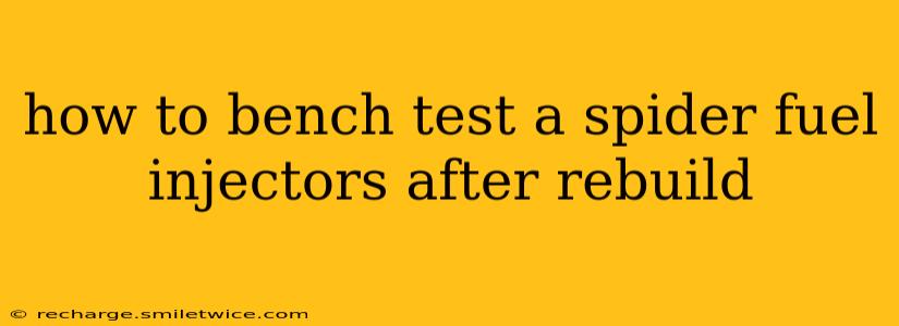 how to bench test a spider fuel injectors after rebuild