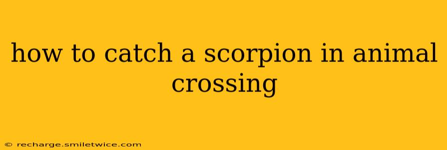 how to catch a scorpion in animal crossing