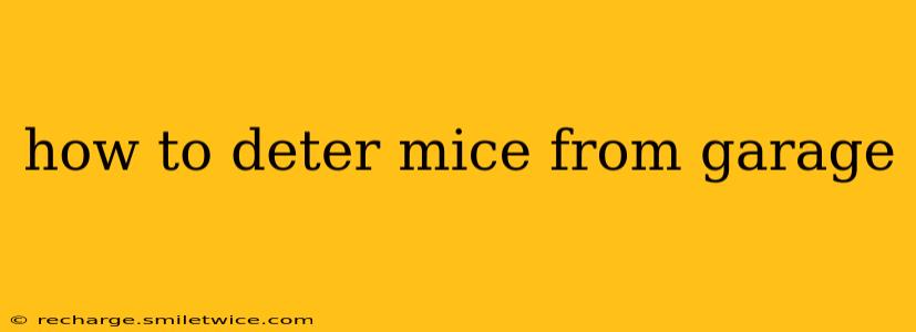 how to deter mice from garage
