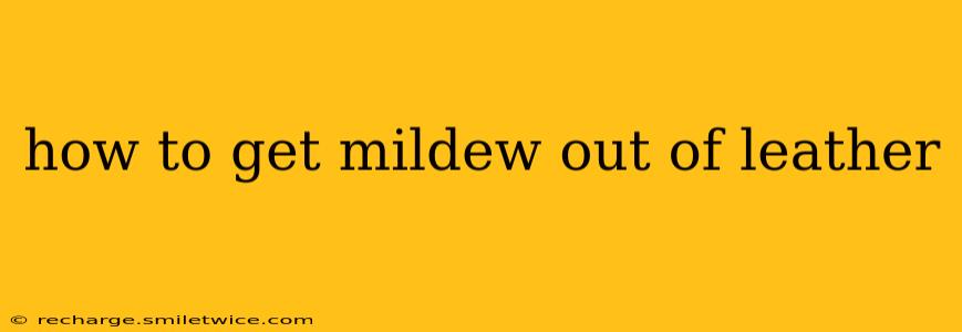 how to get mildew out of leather