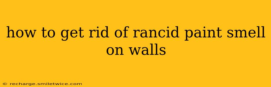 how to get rid of rancid paint smell on walls