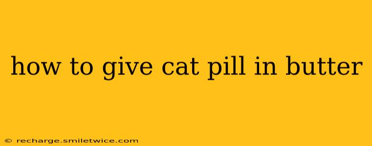 how to give cat pill in butter