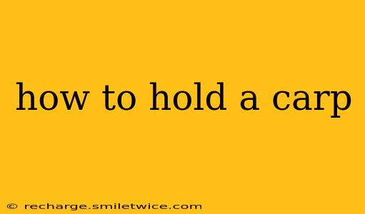 how to hold a carp