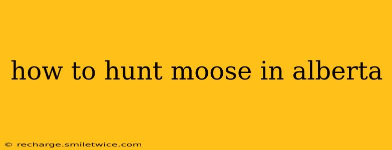 how to hunt moose in alberta