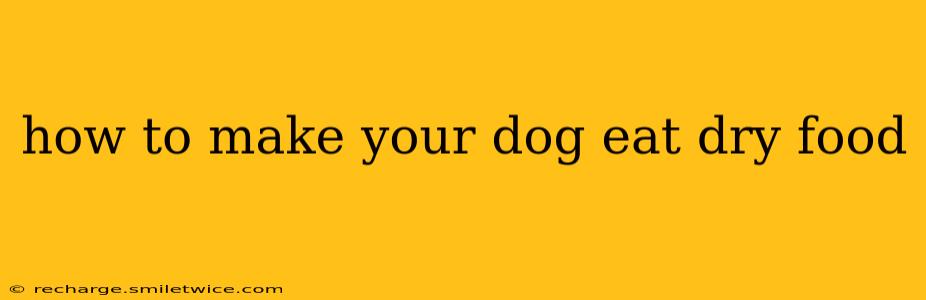 how to make your dog eat dry food