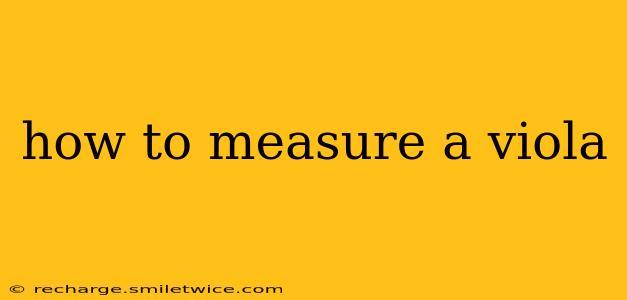 how to measure a viola