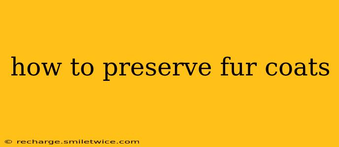 how to preserve fur coats