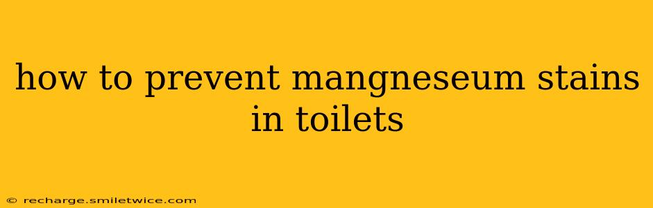 how to prevent mangneseum stains in toilets