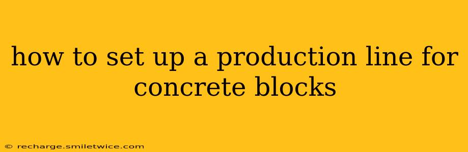 how to set up a production line for concrete blocks