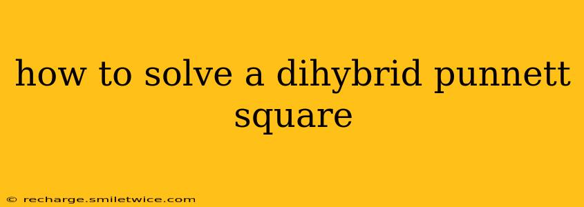 how to solve a dihybrid punnett square