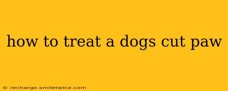 how to treat a dogs cut paw