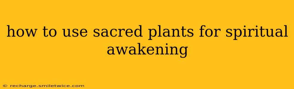 how to use sacred plants for spiritual awakening