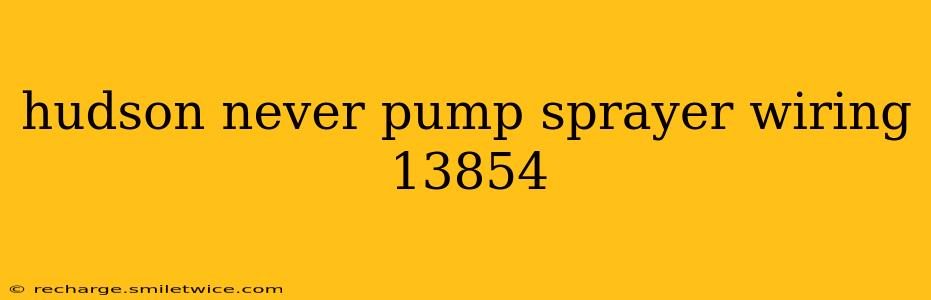 hudson never pump sprayer wiring 13854