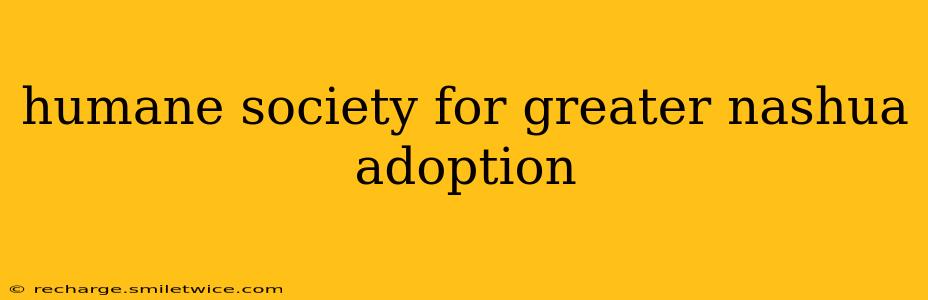 humane society for greater nashua adoption