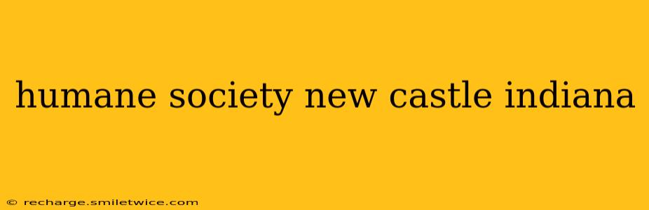 humane society new castle indiana