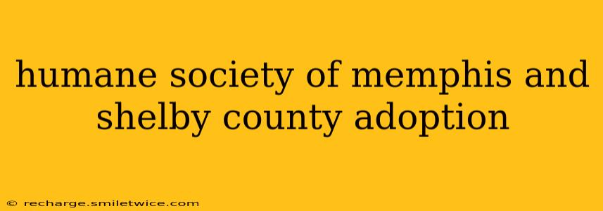 humane society of memphis and shelby county adoption