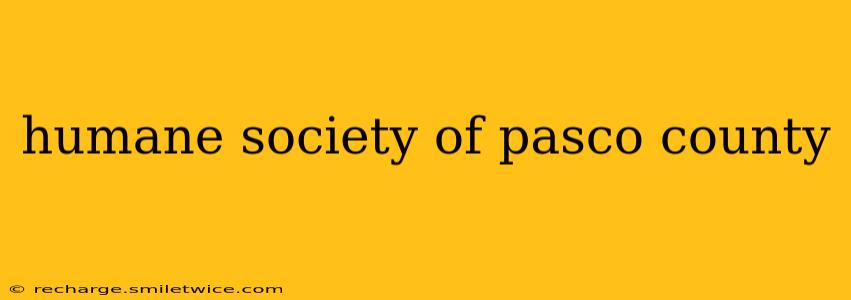 humane society of pasco county