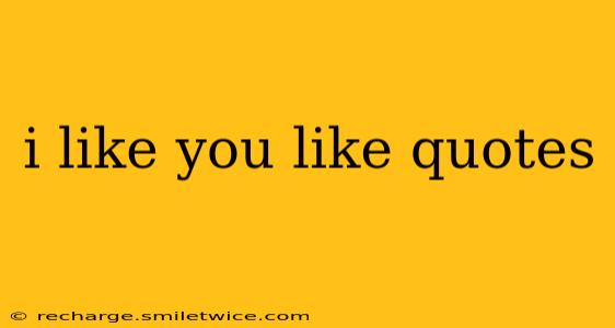 i like you like quotes