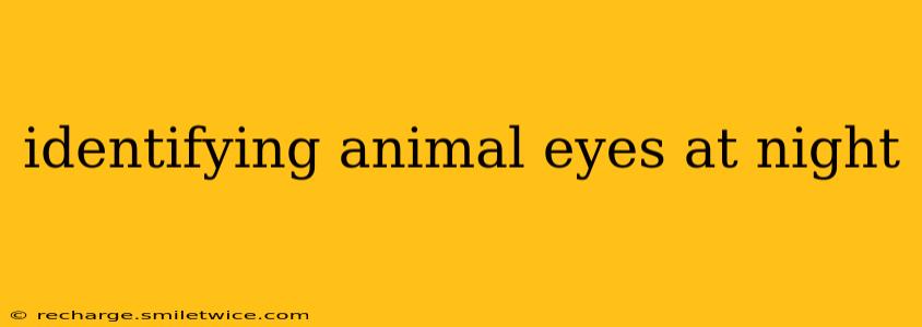 identifying animal eyes at night