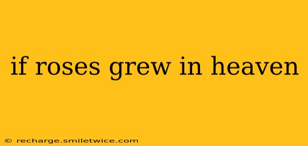 if roses grew in heaven