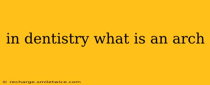 in dentistry what is an arch