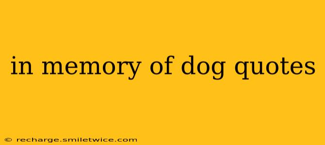 in memory of dog quotes